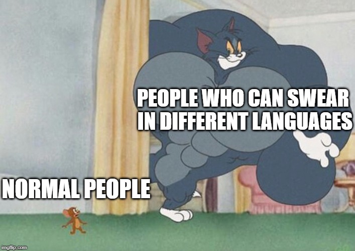Witch languages can you swear in? | PEOPLE WHO CAN SWEAR IN DIFFERENT LANGUAGES; NORMAL PEOPLE | image tagged in tom and jerry | made w/ Imgflip meme maker