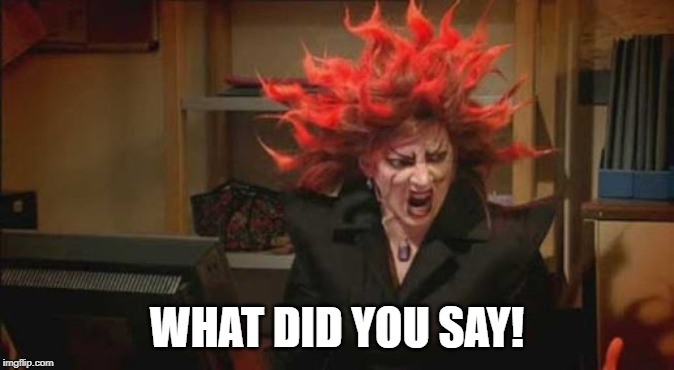Period bitch | WHAT DID YOU SAY! | image tagged in period bitch | made w/ Imgflip meme maker