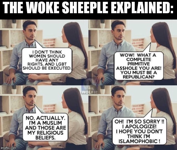 Woke? | THE WOKE SHEEPLE EXPLAINED: | image tagged in maga | made w/ Imgflip meme maker