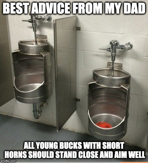 urinal | BEST ADVICE FROM MY DAD; ALL YOUNG BUCKS WITH SHORT HORNS SHOULD STAND CLOSE AND AIM WELL | image tagged in urinal,memes,fathers day | made w/ Imgflip meme maker