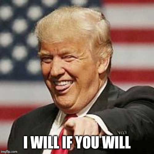 Trump Laughing | I WILL IF YOU WILL | image tagged in trump laughing | made w/ Imgflip meme maker