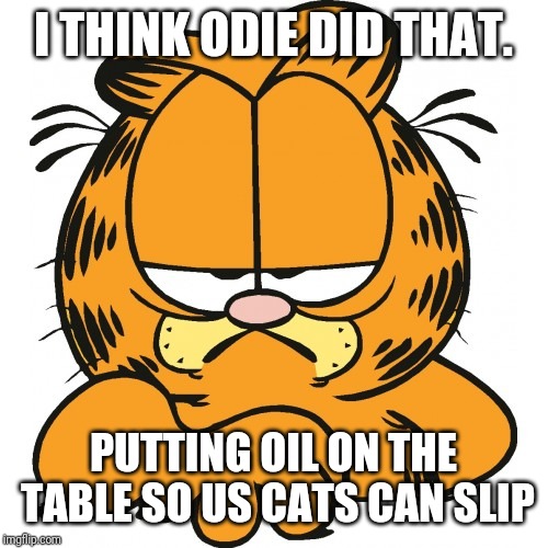 Garfield | I THINK ODIE DID THAT. PUTTING OIL ON THE TABLE SO US CATS CAN SLIP | image tagged in garfield | made w/ Imgflip meme maker