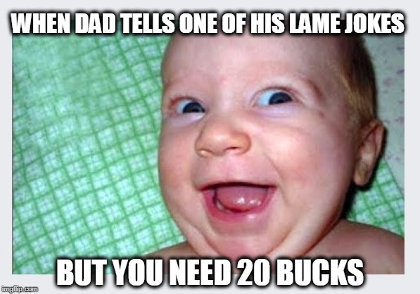 Work it | WHEN DAD TELLS ONE OF HIS LAME JOKES; BUT YOU NEED 20 BUCKS | image tagged in dad jokes,dads,lame dad jokes | made w/ Imgflip meme maker