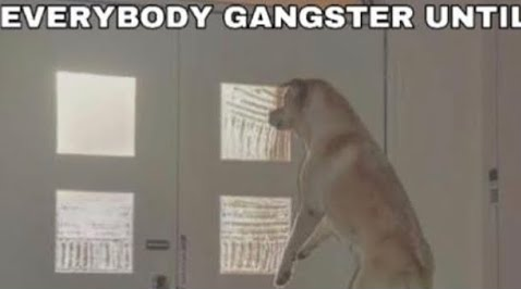 Everybody Gangster Until Blank Meme Template