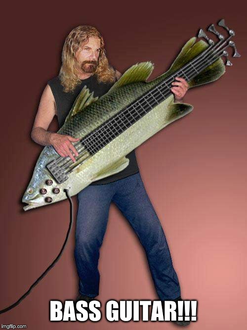 Bass guitar fish | BASS GUITAR!!! | image tagged in bass guitar fish | made w/ Imgflip meme maker