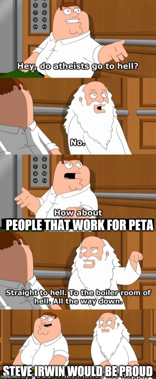 Who goes to hell | PEOPLE THAT WORK FOR PETA; STEVE IRWIN WOULD BE PROUD | image tagged in who goes to hell | made w/ Imgflip meme maker