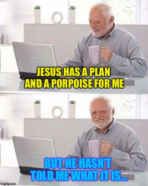 Hide The Pain Harold Weekend | JESUS HAS A PLAN AND A PORPOISE FOR ME; BUT HE HASN’T TOLD ME WHAT IT IS... | image tagged in memes,hide the pain harold,hide the pain harold weekend | made w/ Imgflip meme maker