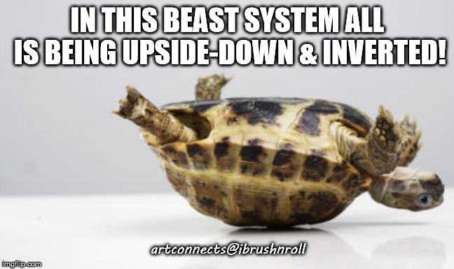 Turtle up side down | IN THIS BEAST SYSTEM ALL IS BEING UPSIDE-DOWN & INVERTED! artconnects@ibrushnroll | image tagged in turtle up side down | made w/ Imgflip meme maker