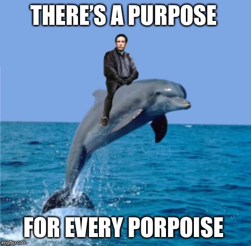 Trent Reznor's Imaginary Porpoise | THERE’S A PURPOSE FOR EVERY PORPOISE | image tagged in trent reznor's imaginary porpoise | made w/ Imgflip meme maker