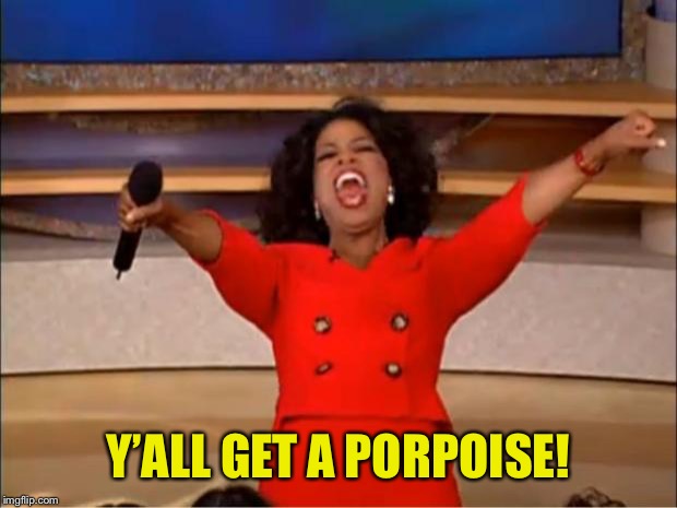 Oprah You Get A Meme | Y’ALL GET A PORPOISE! | image tagged in memes,oprah you get a | made w/ Imgflip meme maker
