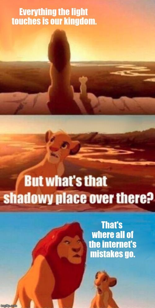 The Shadowy Place | Everything the light touches is our kingdom. That's where all of the internet's mistakes go. | image tagged in memes,simba shadowy place | made w/ Imgflip meme maker