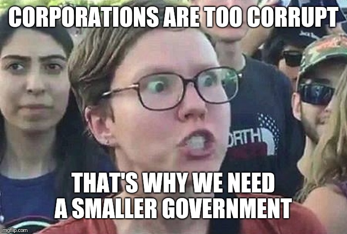 Triggered Liberal | CORPORATIONS ARE TOO CORRUPT THAT'S WHY WE NEED A SMALLER GOVERNMENT | image tagged in triggered liberal | made w/ Imgflip meme maker