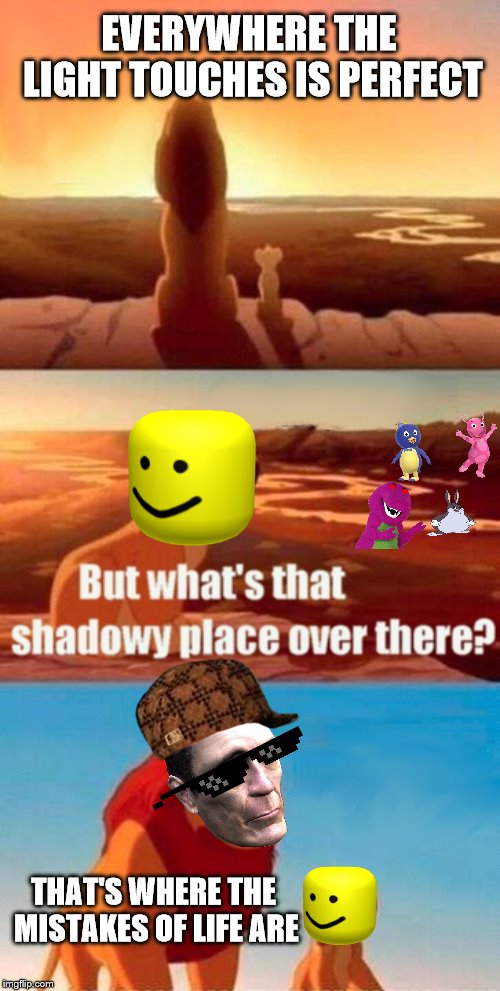 Simba Shadowy Place | EVERYWHERE THE LIGHT TOUCHES IS PERFECT; THAT'S WHERE THE MISTAKES OF LIFE ARE | image tagged in memes,simba shadowy place | made w/ Imgflip meme maker