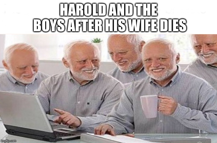 HAROLD AND THE BOYS AFTER HIS WIFE DIES | image tagged in memes,hide the pain harold,me and the boys | made w/ Imgflip meme maker