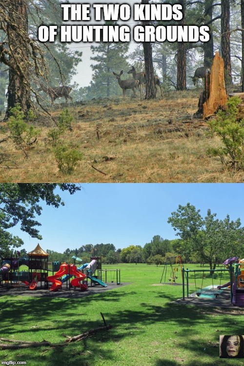two kinds of hunting grounds | THE TWO KINDS OF HUNTING GROUNDS | image tagged in meme,michael jackson,kids,playground | made w/ Imgflip meme maker