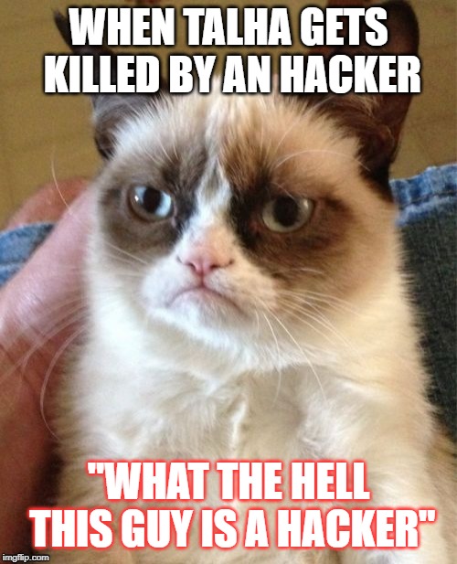 Grumpy Cat | WHEN TALHA GETS KILLED BY AN HACKER; "WHAT THE HELL THIS GUY IS A HACKER" | image tagged in memes,grumpy cat | made w/ Imgflip meme maker