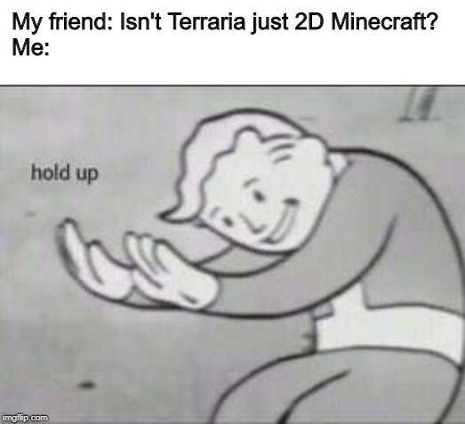 Fallout Hold Up | My friend: Isn't Terraria just 2D Minecraft?                                                         Me: | image tagged in fallout hold up | made w/ Imgflip meme maker