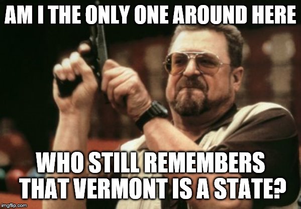 Am I The Only One Around Here Meme | AM I THE ONLY ONE AROUND HERE; WHO STILL REMEMBERS THAT VERMONT IS A STATE? | image tagged in memes,am i the only one around here | made w/ Imgflip meme maker