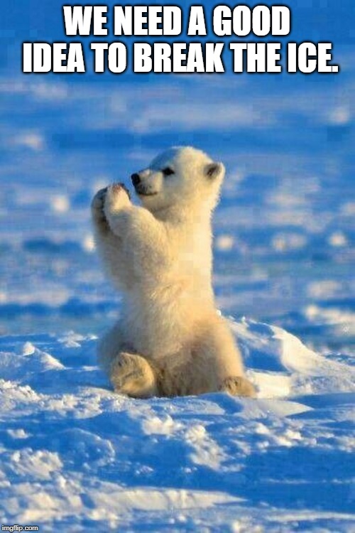 Baby Bear | WE NEED A GOOD IDEA TO BREAK THE ICE. | image tagged in baby bear | made w/ Imgflip meme maker