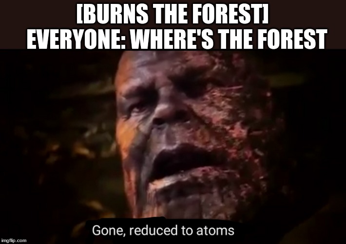 Thanos gone, reduced to atoms | [BURNS THE FOREST] 
EVERYONE: WHERE'S THE FOREST | image tagged in thanos gone reduced to atoms | made w/ Imgflip meme maker