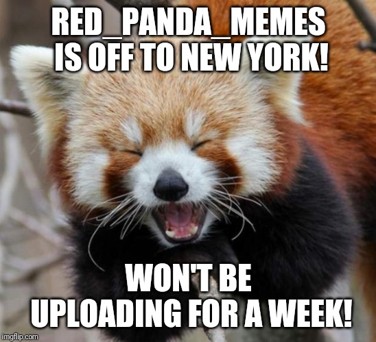 I'll be back in a week | RED_PANDA_MEMES IS OFF TO NEW YORK! WON'T BE UPLOADING FOR A WEEK! | image tagged in red panda,red_panda_memes,new york,i'll be back,bye | made w/ Imgflip meme maker