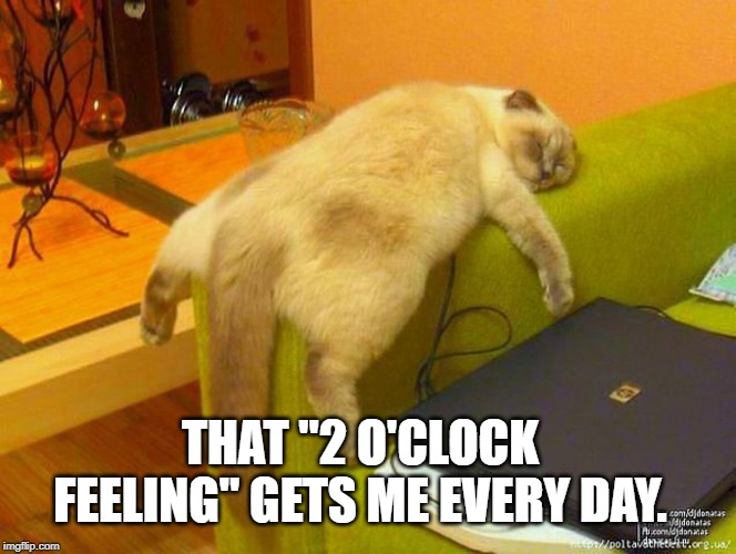 sleeping cat | THAT "2 O'CLOCK FEELING" GETS ME EVERY DAY. | image tagged in sleeping cat | made w/ Imgflip meme maker