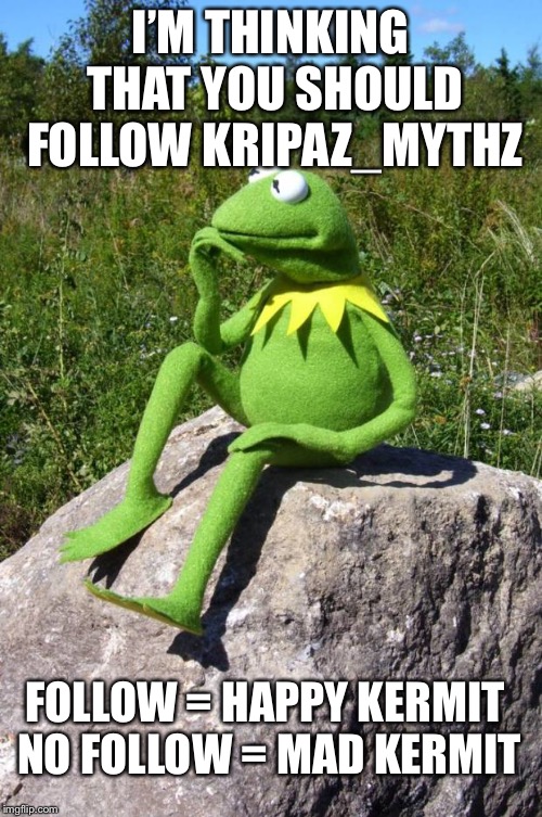 Kermit-thinking | I’M THINKING THAT YOU SHOULD FOLLOW KRIPAZ_MYTHZ; FOLLOW = HAPPY KERMIT NO FOLLOW = MAD KERMIT | image tagged in kermit-thinking | made w/ Imgflip meme maker
