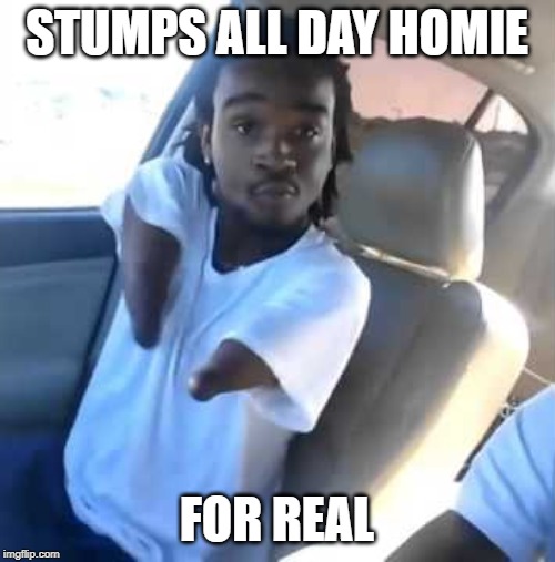STUMPS ALL DAY HOMIE FOR REAL | made w/ Imgflip meme maker