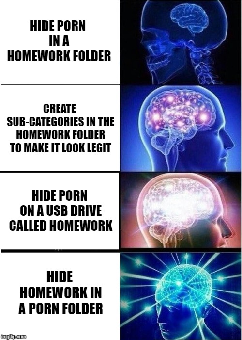 Expanding Brain Meme | HIDE PORN IN A HOMEWORK FOLDER; CREATE SUB-CATEGORIES IN THE HOMEWORK FOLDER TO MAKE IT LOOK LEGIT; HIDE PORN ON A USB DRIVE CALLED HOMEWORK; HIDE HOMEWORK IN A PORN FOLDER | image tagged in memes,expanding brain | made w/ Imgflip meme maker