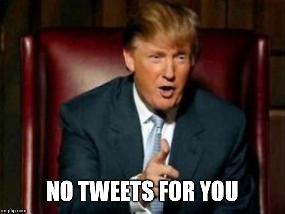 Donald Trump | NO TWEETS FOR YOU | image tagged in donald trump | made w/ Imgflip meme maker