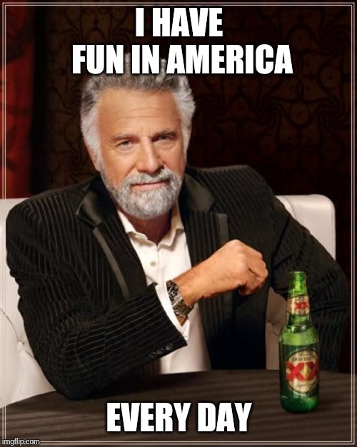 The Most Interesting Man In The World Meme | I HAVE FUN IN AMERICA EVERY DAY | image tagged in memes,the most interesting man in the world | made w/ Imgflip meme maker