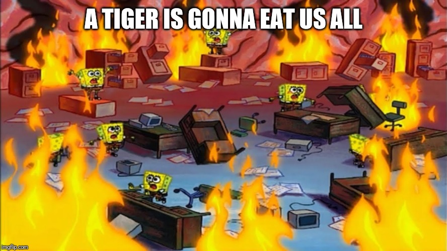 Spongebobs panicking | A TIGER IS GONNA EAT US ALL | image tagged in spongebobs panicking | made w/ Imgflip meme maker