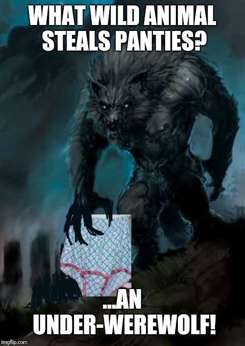 werewolf |  WHAT WILD ANIMAL STEALS PANTIES? ...AN UNDER-WEREWOLF! | image tagged in werewolf | made w/ Imgflip meme maker
