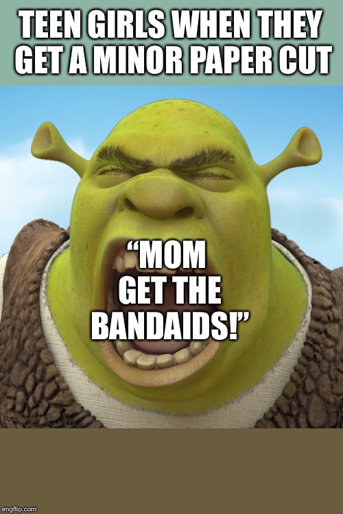 TEEN GIRLS WHEN THEY GET A MINOR PAPER CUT; “MOM GET THE BANDAIDS!” | image tagged in shouting shrek | made w/ Imgflip meme maker
