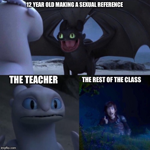 night fury | 12 YEAR OLD MAKING A SEXUAL REFERENCE; THE REST OF THE CLASS; THE TEACHER | image tagged in night fury | made w/ Imgflip meme maker