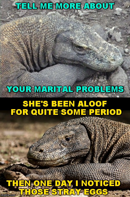 Tell Me All About It! | TELL ME MORE ABOUT; YOUR MARITAL PROBLEMS; SHE'S BEEN ALOOF FOR QUITE SOME PERIOD; THEN ONE DAY I NOTICED   THOSE STRAY EGGS | image tagged in sad komodo dragon,confession komodo,memes | made w/ Imgflip meme maker