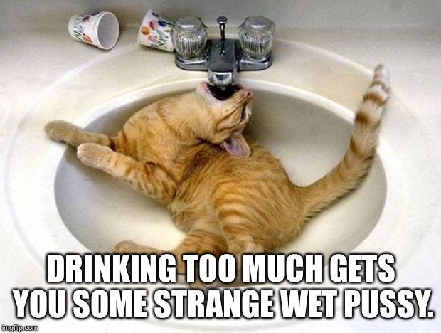 Advice for party animals | DRINKING TOO MUCH GETS YOU SOME STRANGE WET PUSSY. | image tagged in drunk cat,memes,pussy,drinking,bad pun,strange | made w/ Imgflip meme maker