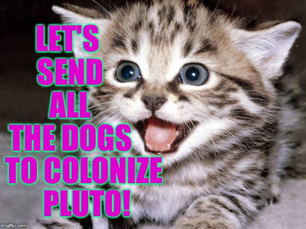 Cute Kitten Hopes | LET'S SEND ALL THE DOGS TO COLONIZE PLUTO! | image tagged in cute kitten hopes | made w/ Imgflip meme maker