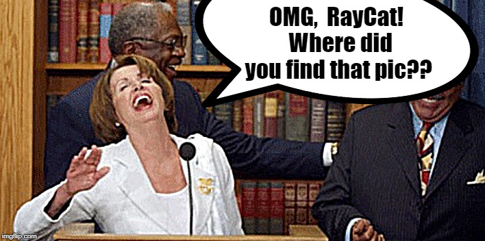 OMG,  RayCat!  Where did you find that pic?? | made w/ Imgflip meme maker