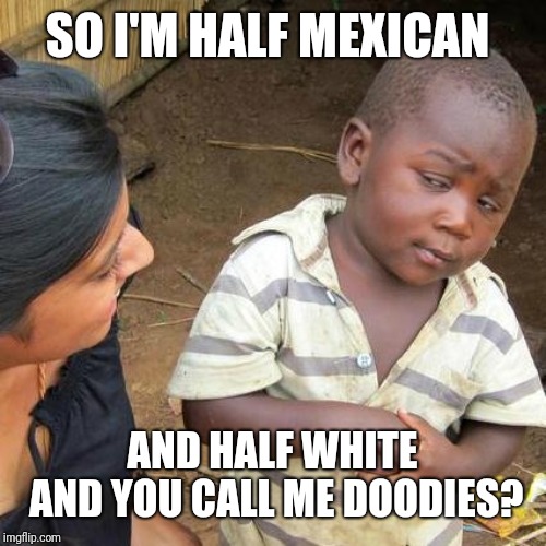 Third World Skeptical Kid Meme | SO I'M HALF MEXICAN; AND HALF WHITE AND YOU CALL ME DOODIES? | image tagged in memes,third world skeptical kid | made w/ Imgflip meme maker