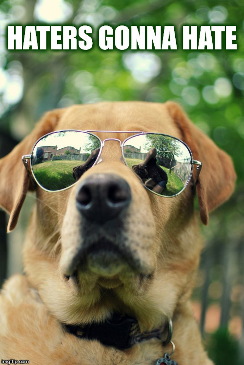 HATERS GONNA HATE | HATERS GONNA HATE | image tagged in haters,haters gonna hate,hate,dog,labrador,sunglasses | made w/ Imgflip meme maker