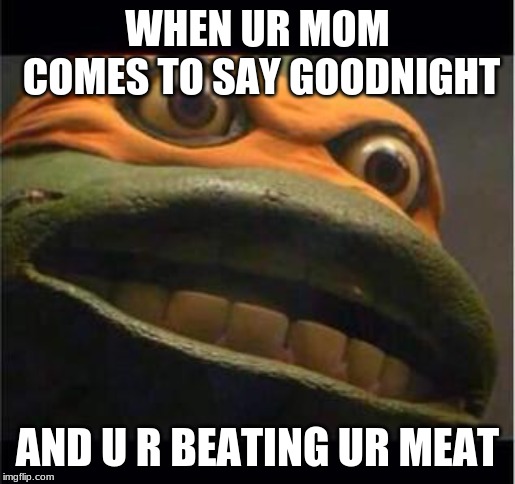 teen age mutant ninja turtle | WHEN UR MOM COMES TO SAY GOODNIGHT; AND U R BEATING UR MEAT | image tagged in teen age mutant ninja turtle | made w/ Imgflip meme maker