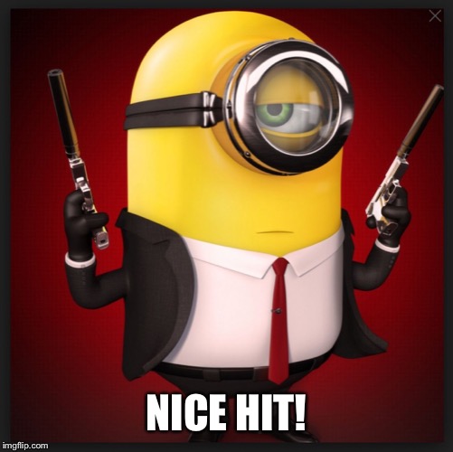 Assassin Minion | NICE HIT! | image tagged in assassin minion | made w/ Imgflip meme maker