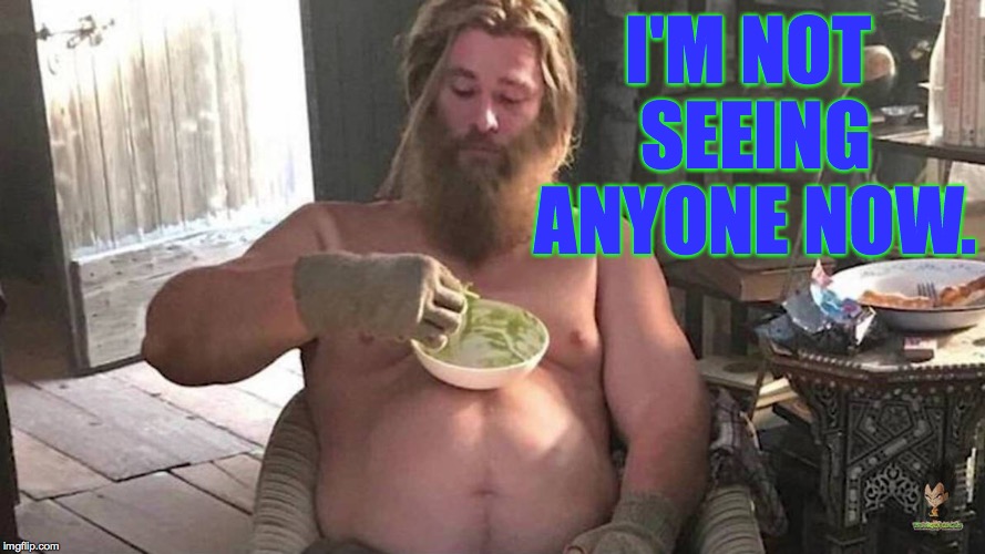 Fat Thor | I'M NOT SEEING ANYONE NOW. | image tagged in fat thor | made w/ Imgflip meme maker