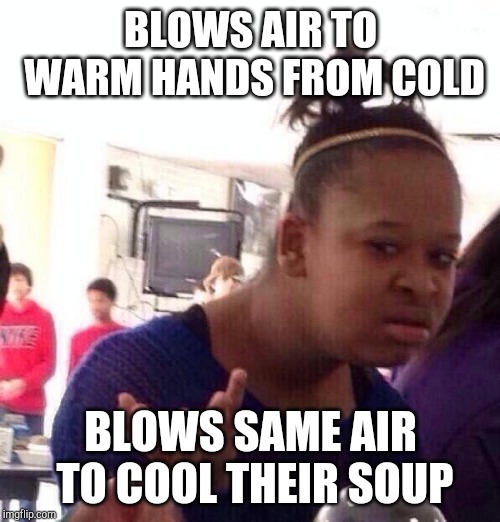 Black Girl Wat | BLOWS AIR TO WARM HANDS FROM COLD; BLOWS SAME AIR TO COOL THEIR SOUP | image tagged in memes,black girl wat | made w/ Imgflip meme maker