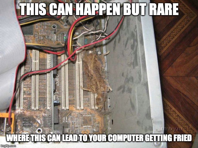Rat Inside Desktop Case | THIS CAN HAPPEN BUT RARE; WHERE THIS CAN LEAD TO YOUR COMPUTER GETTING FRIED | image tagged in desktop,computer,mouse,memes | made w/ Imgflip meme maker