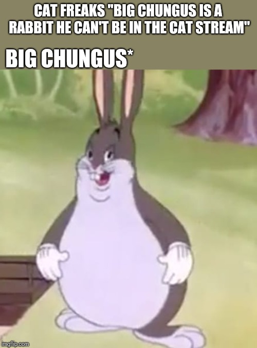 Big Chungus | CAT FREAKS "BIG CHUNGUS IS A RABBIT HE CAN'T BE IN THE CAT STREAM"; BIG CHUNGUS* | image tagged in big chungus | made w/ Imgflip meme maker