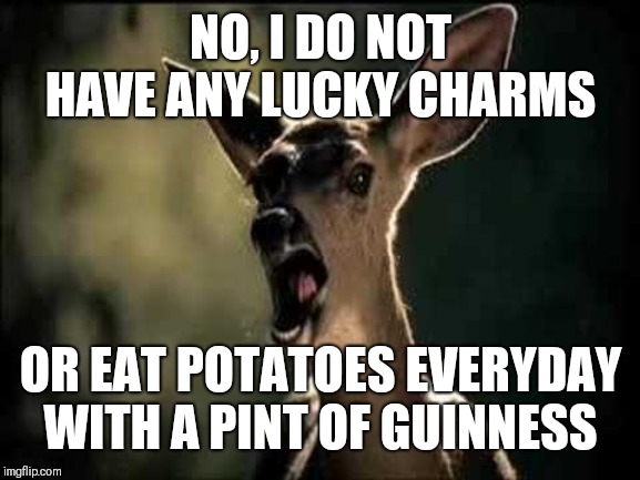 Deer Scream | NO, I DO NOT HAVE ANY LUCKY CHARMS OR EAT POTATOES EVERYDAY WITH A PINT OF GUINNESS | image tagged in deer scream | made w/ Imgflip meme maker