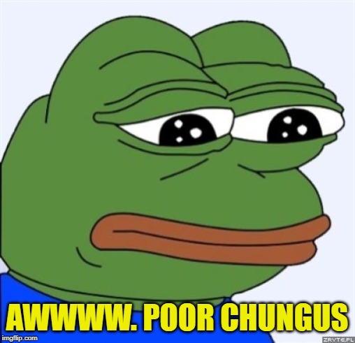 sad frog | AWWWW. POOR CHUNGUS | image tagged in sad frog | made w/ Imgflip meme maker