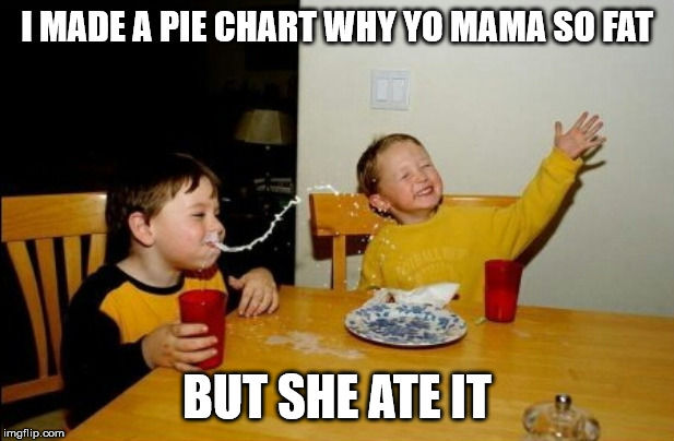 Yo Mamas So Fat | I MADE A PIE CHART WHY YO MAMA SO FAT; BUT SHE ATE IT | image tagged in memes,yo mamas so fat | made w/ Imgflip meme maker